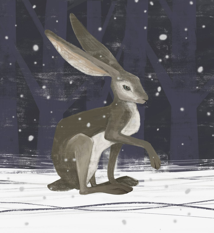 Зайка ночью 