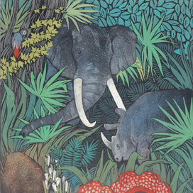 Майн Рид. В дебрях Южной Африки-1