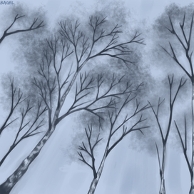 Зимнее небо