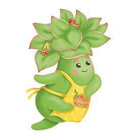 Эхеверия Эми