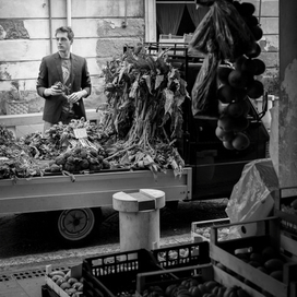 Реклама ZOLLA