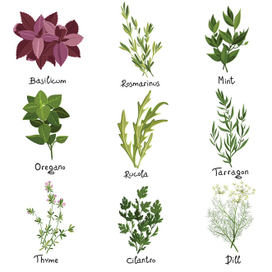 Herbs