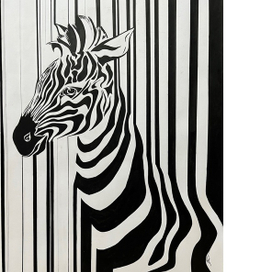 Зебра
