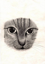 зинаида павловна