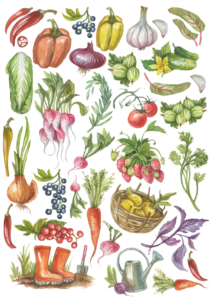 овощи(деколь)