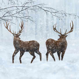 Зимний день