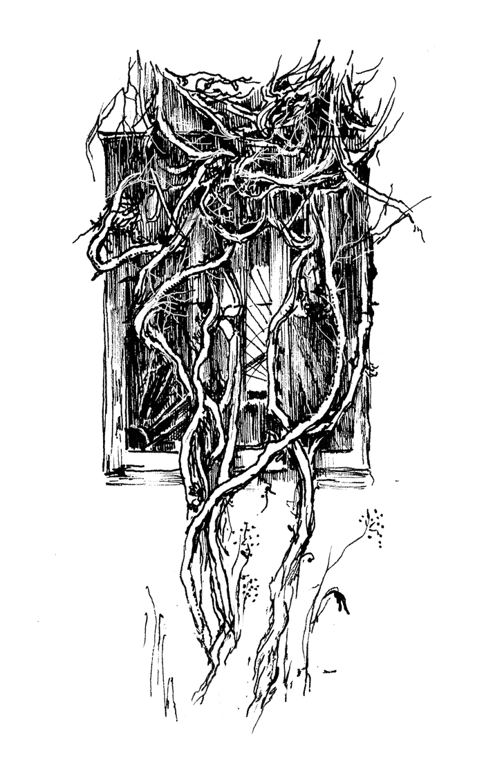 Замтари (зима)