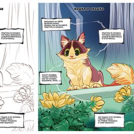 кошка и окошко