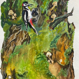 Дятел 