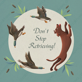 Открытка "Не прекращай поиски!"