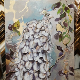 Серебряный павлин