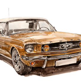 Ford Mustang 1965, рисунок