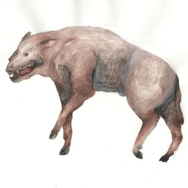 Энтелодонт