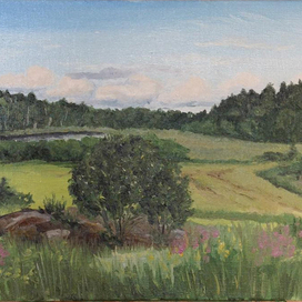 Вид на озеро Глухое