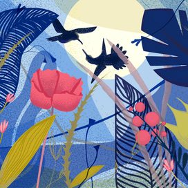 Птицы в тропиках