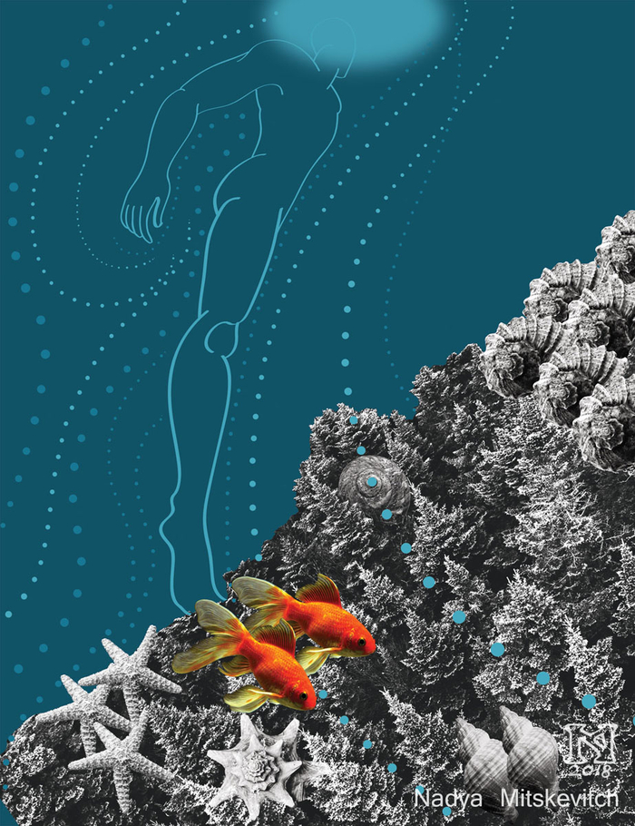 Иллюстрация к книге С.Курилова "Один в океане"