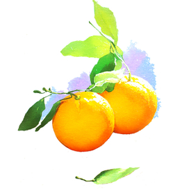 Два апельсина