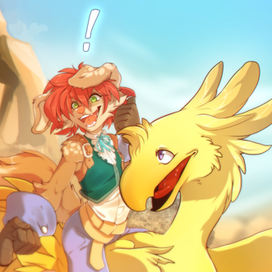 Chocobo quest!