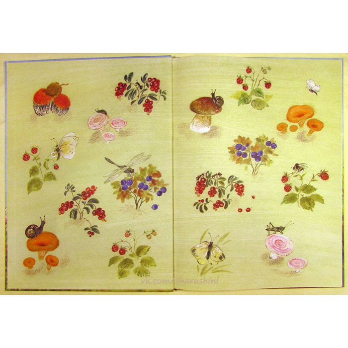 Форзац книги Евгения Чарушина "Как лошадка зверей катала"