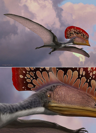 Птерозавр