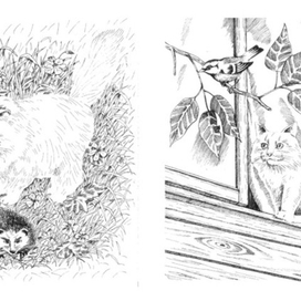 Раскраски для детей. Кошки.