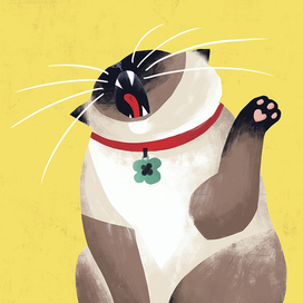 Королева драмы