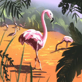 Птичий пруд