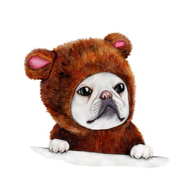 Французский бульдог