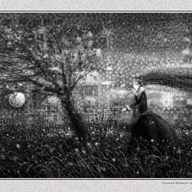 Ветренные Сумерки