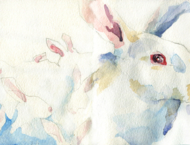 all that you wanted to know about