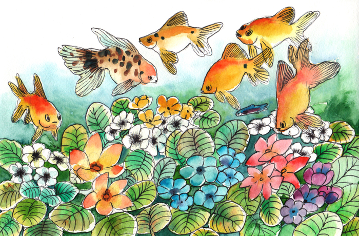 Домашний аквариум