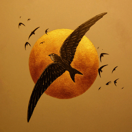 Черный стриж