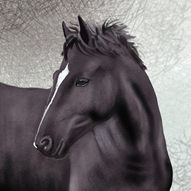 Digital illustration