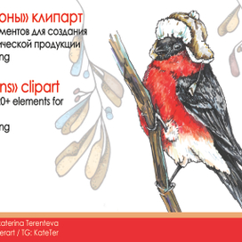 "Птички и сезоны" клипарт
