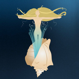 Из раковины