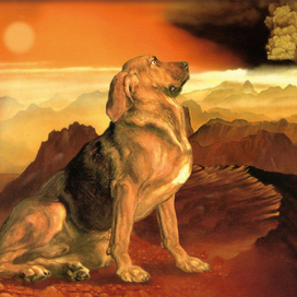 Серия "Жизнь собачья" _Пробуждение