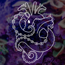 Сердце и щупальца