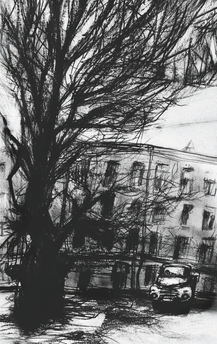 старое дерево