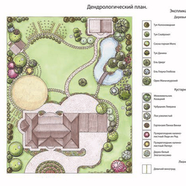 Дендрологический план