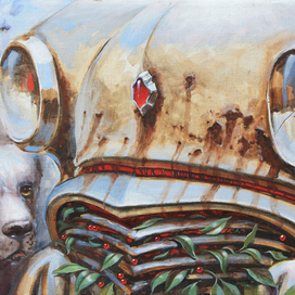 Волчьи ягоды