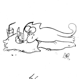 кот саймона