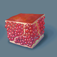 текстурные тренировки