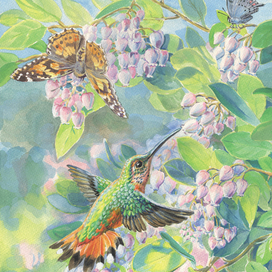 Всякое дыхание да Славит Господа