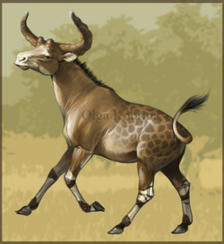 Маврузийский сиватерий