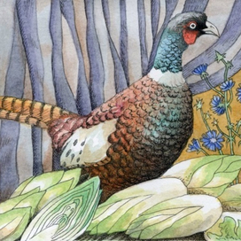 Меню ингредиентов:"Фазан с цикорием"