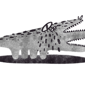 Крокодил