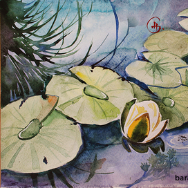 кувшинки мои