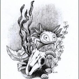 превосходство.