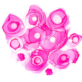 Розовые розы спиртовые чернила. Абстрактные цветы