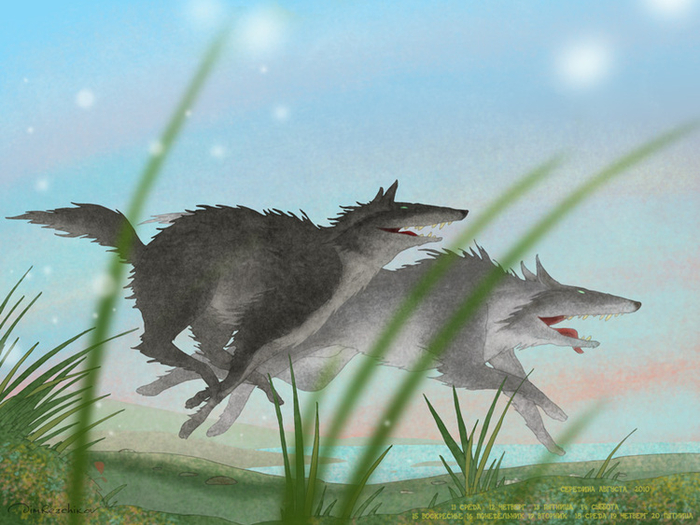 СЕРЕДИНА АВГУСТА